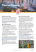 Image of the planned burn factsheet